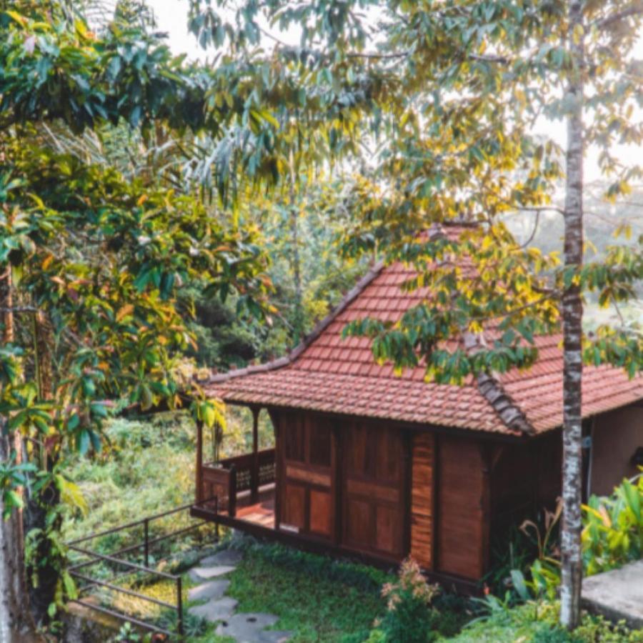 The Jungle Villa 乌布 外观 照片