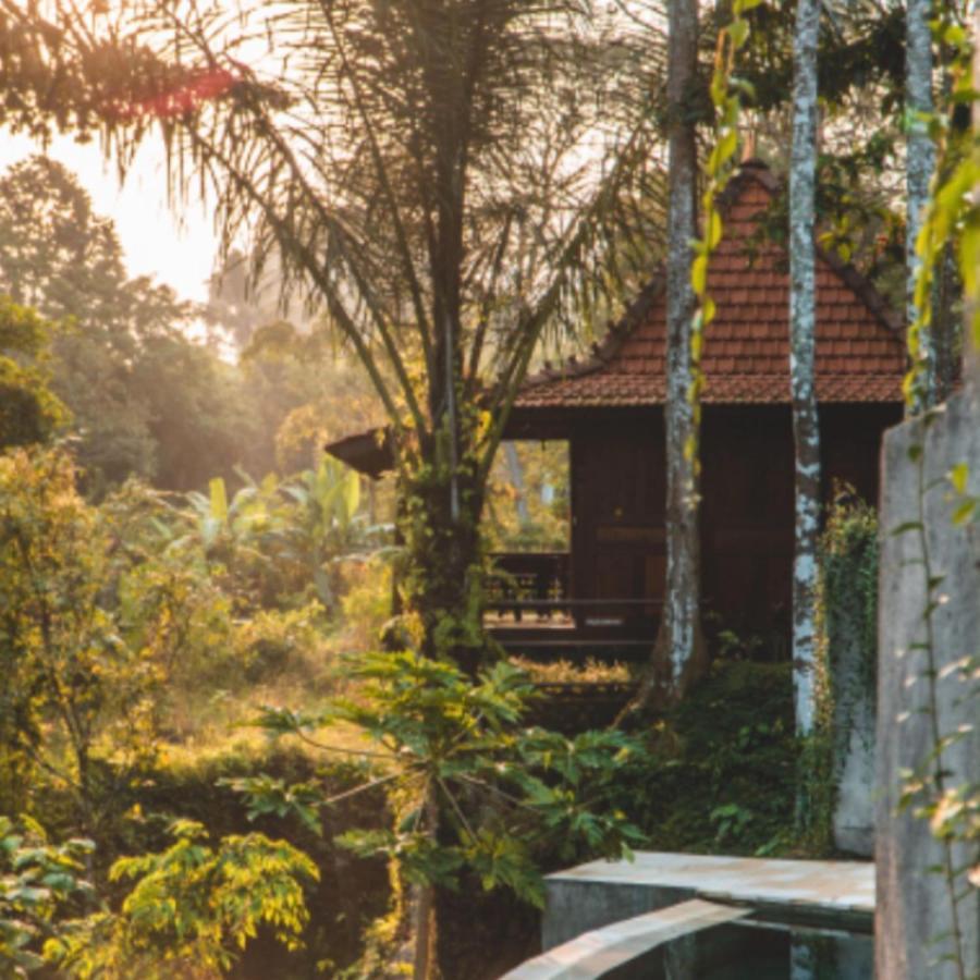The Jungle Villa 乌布 外观 照片