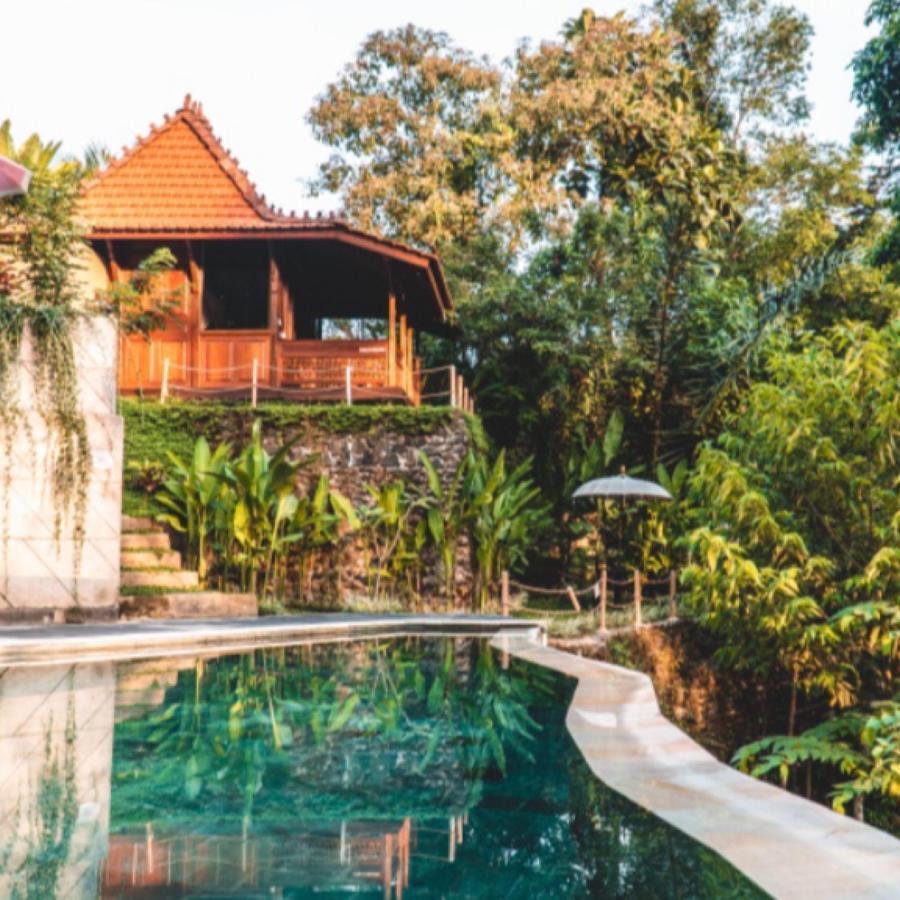 The Jungle Villa 乌布 外观 照片