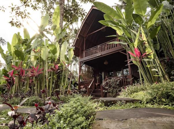 The Jungle Villa 乌布 外观 照片