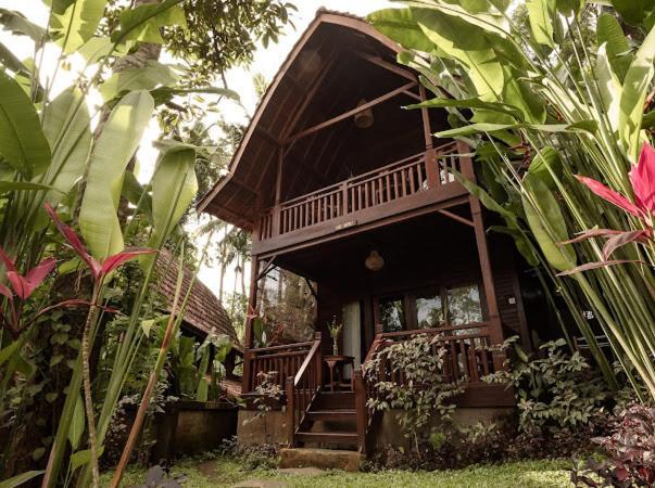 The Jungle Villa 乌布 外观 照片